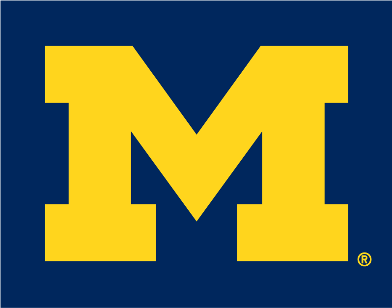 Michigan Wolverines 1996-Pres Alternate Logo v2 diy DTF decal sticker